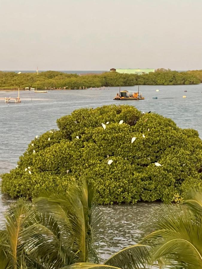 Hidden Treasure Vacation Home Blue Bay Cottage Caye Caulker Esterno foto